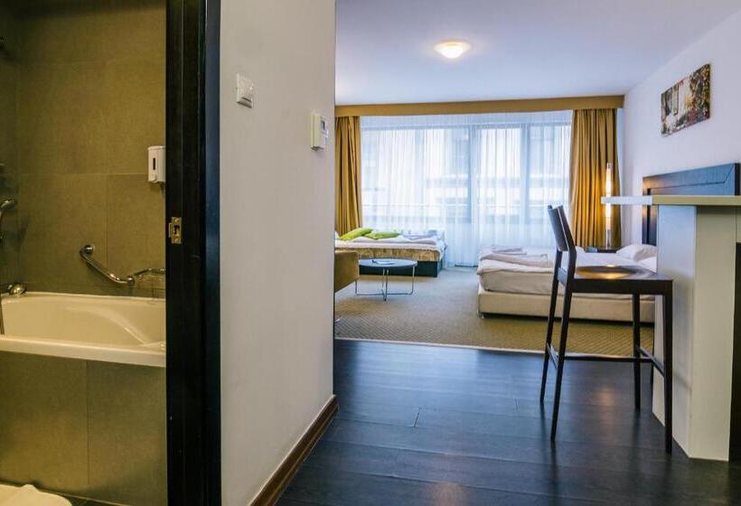 Студия Стандарт, City Gardens Hotel & Wellness