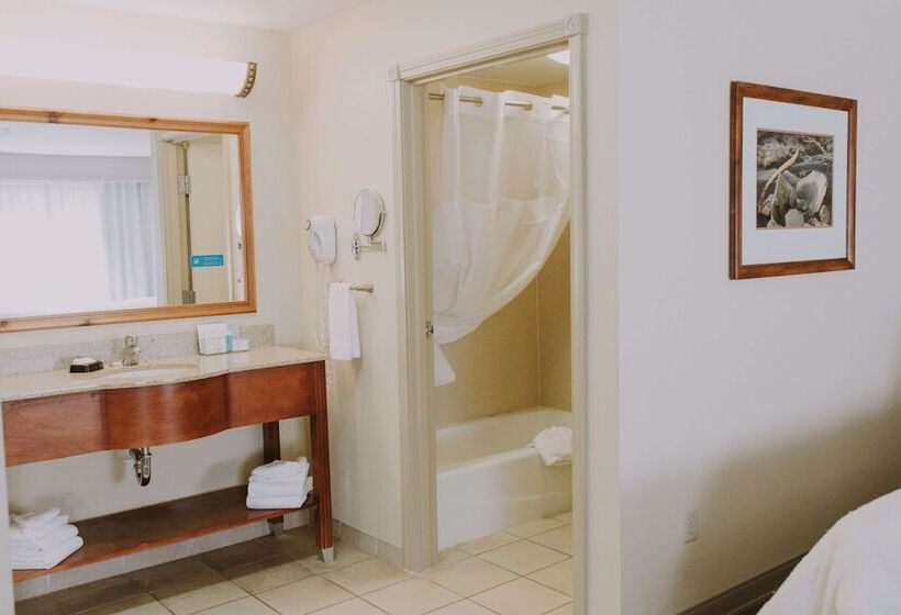 Студия Стандарт, Hampton Inn & Suites Green River