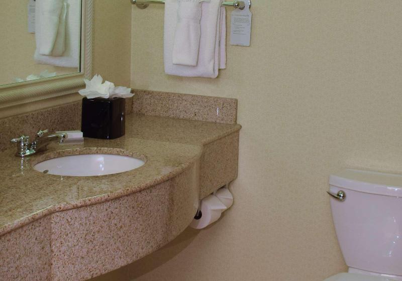 Номер Премиум, Hilton Garden Inn Dayton Beavercreek