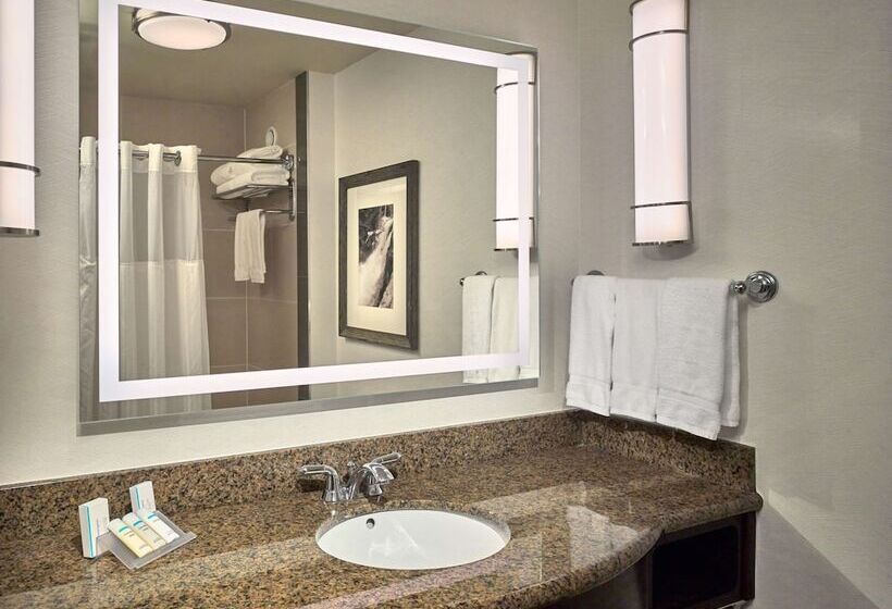 Pokój Jednoosobowy Standard Łóżko King Size, Hilton Garden Inn Gatlinburg