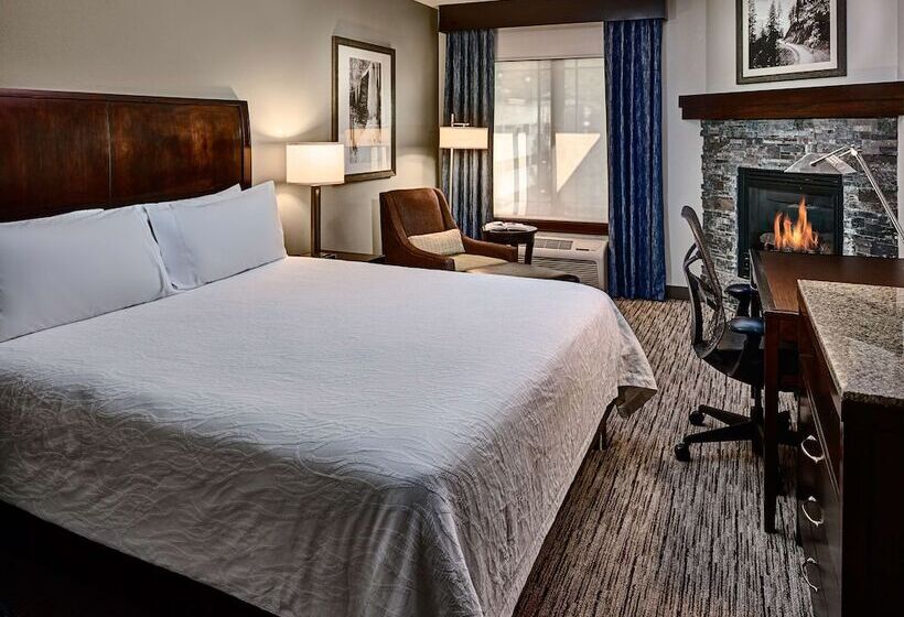 غرفة قياسية فردية سرير كينج, Hilton Garden Inn Gatlinburg