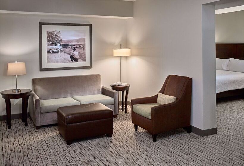 Pokój Jednoosobowy Standard Łóżko King Size, Hilton Garden Inn Gatlinburg