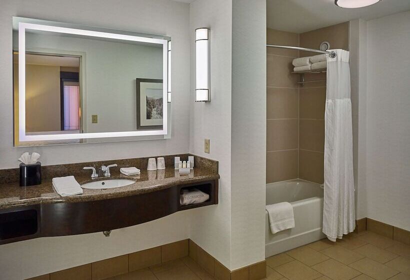 جناح جونيور سرير ملكى, Hilton Garden Inn Gatlinburg