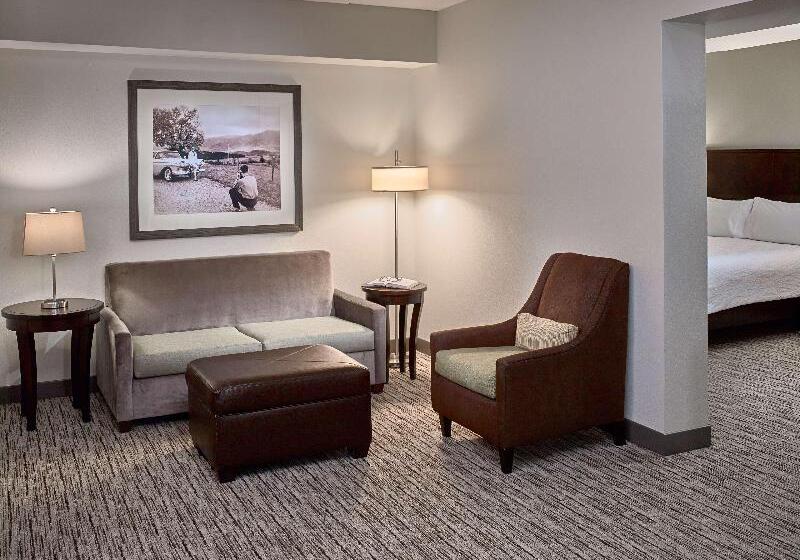 Junior Suite z Balkonem, Hilton Garden Inn Gatlinburg