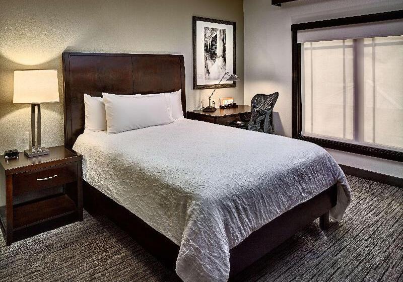 جناح جونيور سرير ملكى, Hilton Garden Inn Gatlinburg