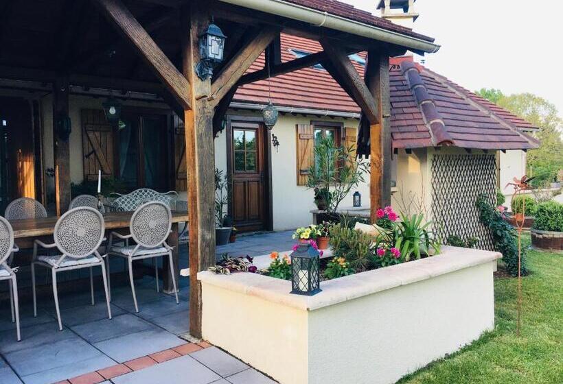 Номер Стандарт, Libellule