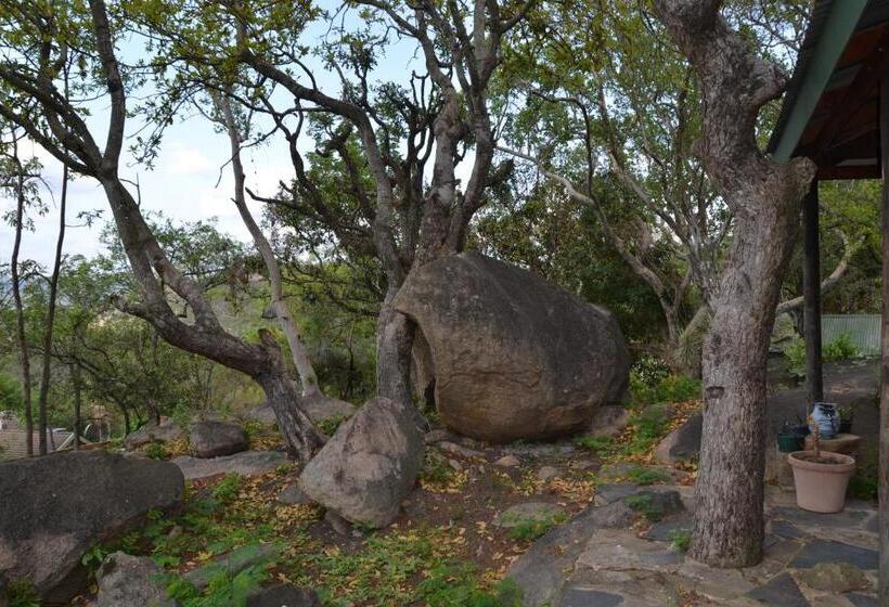 스탠다드 룸, Leopard Tree Retreat