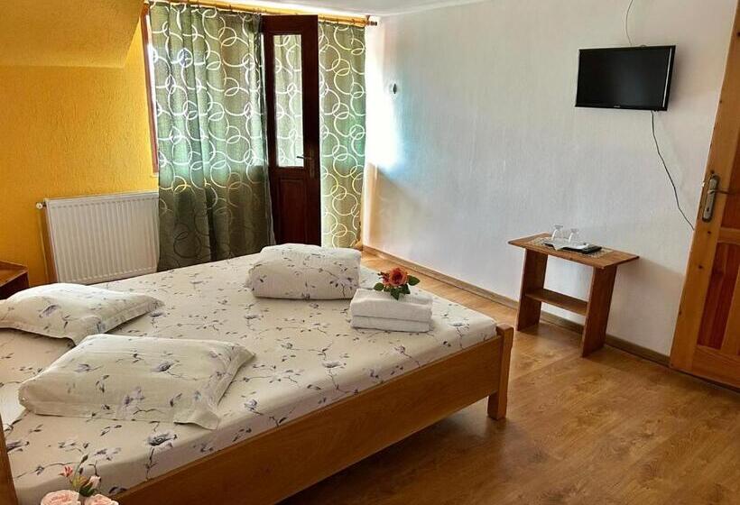 آپارتمان 1 خوابه, Pensiunea Casa Nina