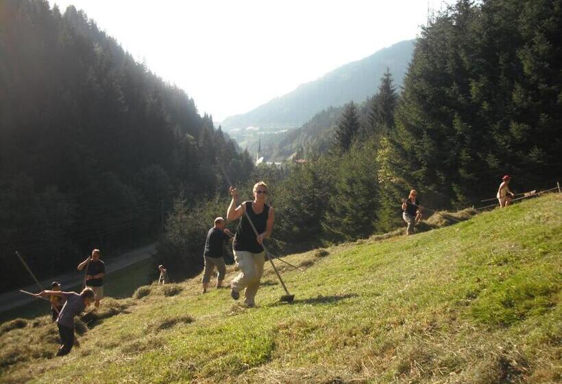 Дом 1 Спальня, Vordersattlegghofhütte