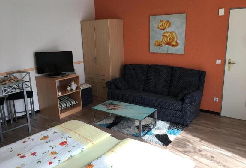Номер Стандарт с Террасой, Gästezimmer Siminciuc