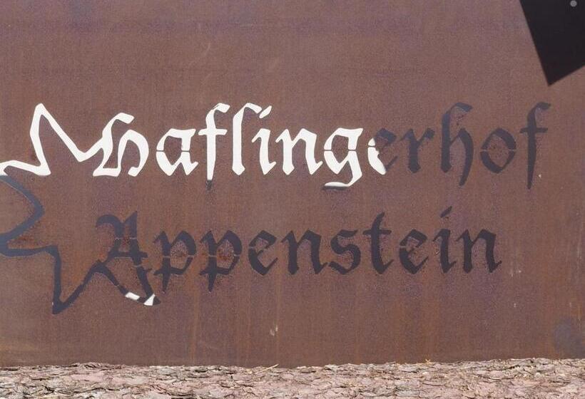 Апартаменты 2 Спальни, Haflingerhof Appenstein