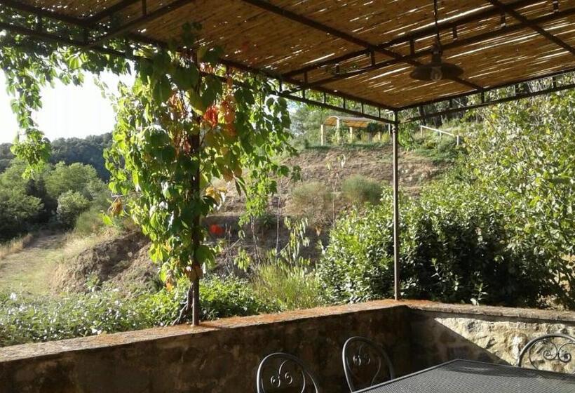 Дом 1 Спальня, Podere La Fausta