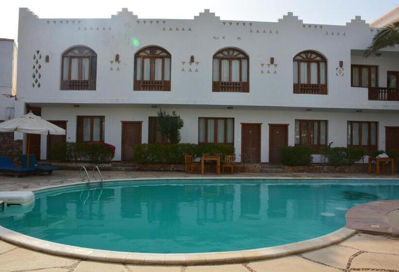 اتاق سوپریور با چشم‌انداز استخر, Dahab Divers