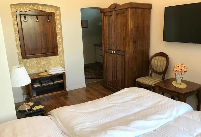 １ベッドルームのデラックスアパートメント, Centercity Apartments