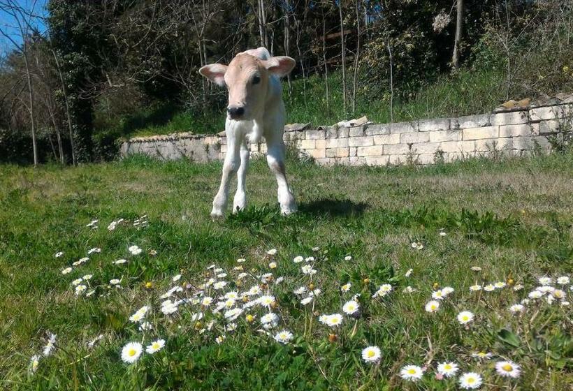 标准三人间, Masseria La Fiorita