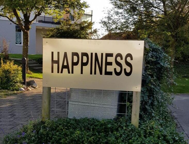 Номер Стандарт Адаптированный для Инвалидов, Happiness