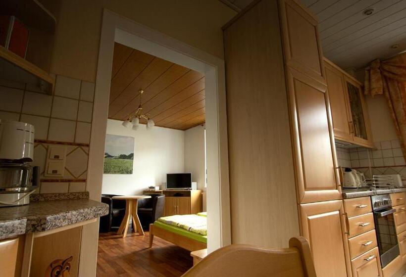 Апартаменты 1 Спальня, Pension Hönel Hof Bad Schandau