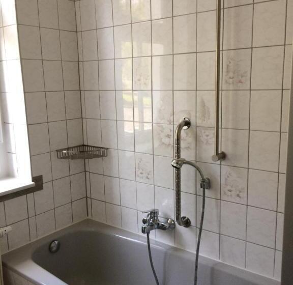 Апартаменты 1 Спальня с Балконом, Pension Hönel Hof Bad Schandau