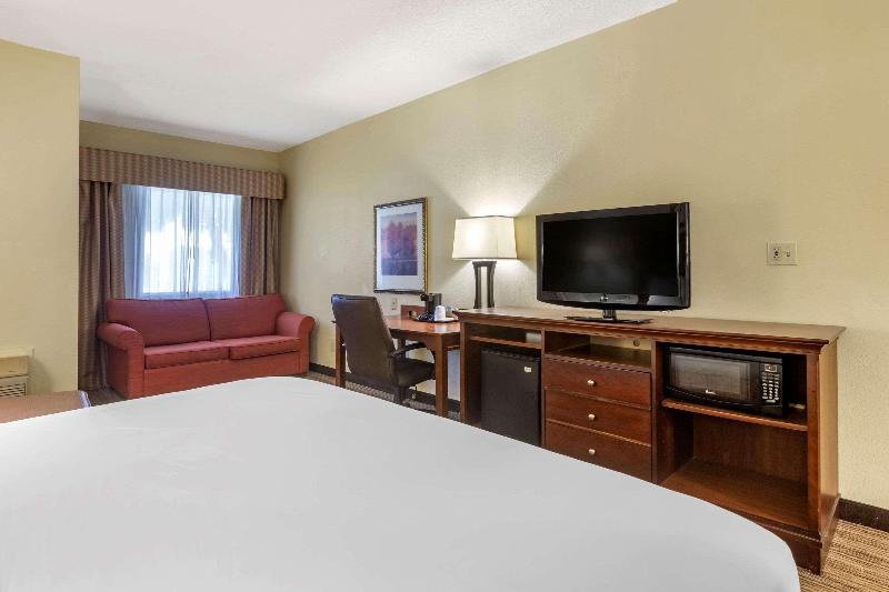 스탠다드 룸 킹사이즈 침대, Country Inn & Suites By Radisson, Atlanta Downtown