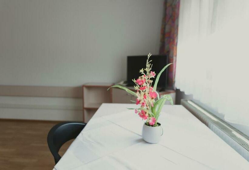 스탠다드 싱글 룸, Sommerhotel Karwendel
