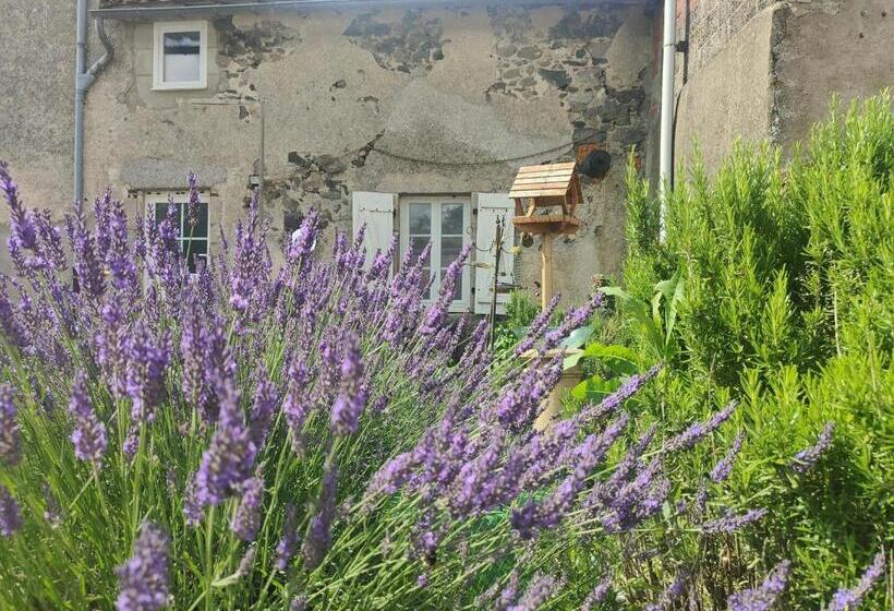 Дом 1 Спальня, Wisteria House