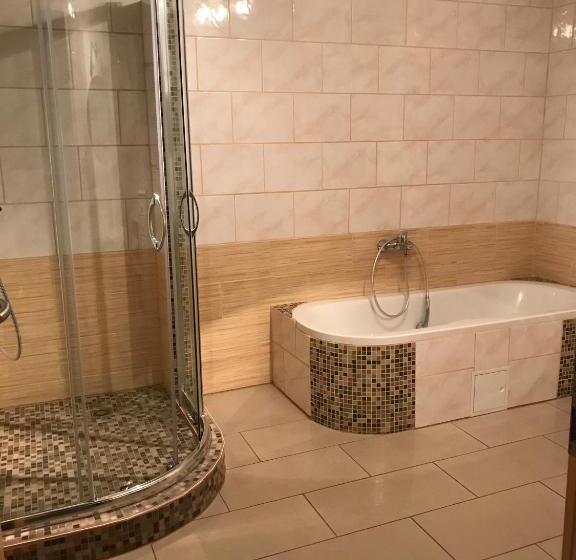 Апартаменты 1 Спальня с Видом, Panoramahof Holly