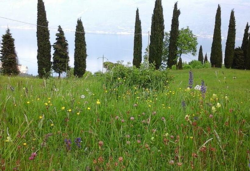 スリーベッドルーム　ヴィラ, Agriturismo Casa Del Castagneto