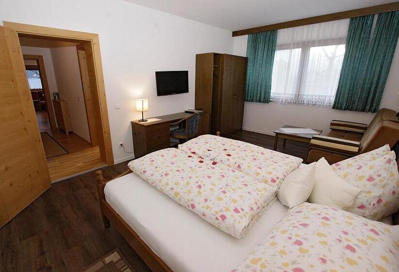 １階の１ベッドルームアパートメント, Gästehaus Steinerhof