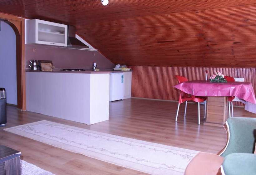 آپارتمان عادی 1 خوابه, Boztepe Apart