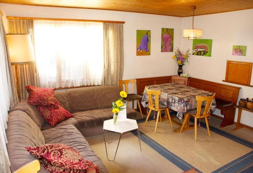 آپارتمان 3 خوابه, B&b St Moritz