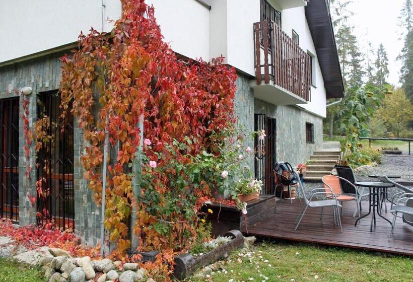 Basic Room, Chaty Tatra
