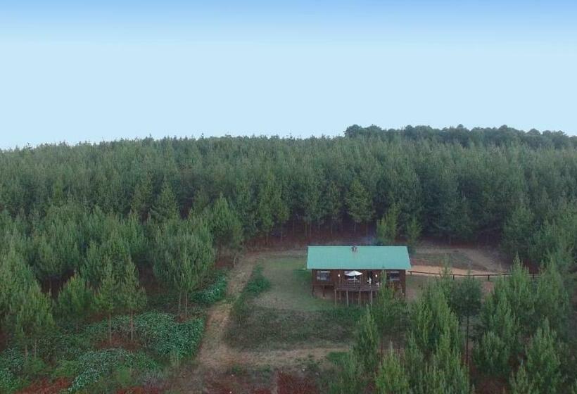 Номер Стандарт Индивидуальный, Stanford Lake Lodge