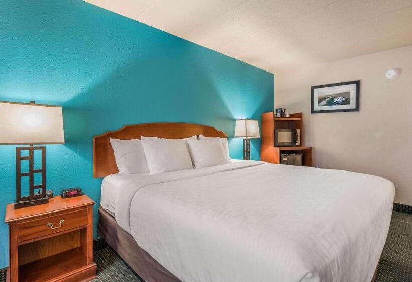 带大床的标准间, Americinn & Suites By Wyndham Baraboo Event Center