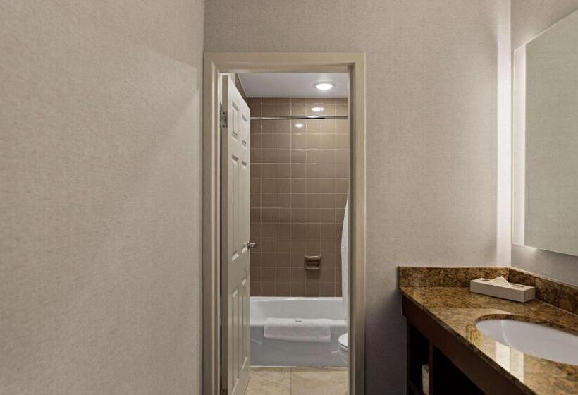 غرفة قياسية, The Clover Hotel, Ascend Hotel Collection
