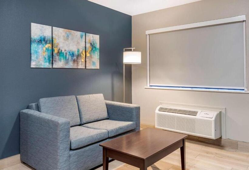 Стандартный Номер Кровать Кинг, Best Western Plus Edinburg Inn & Suites