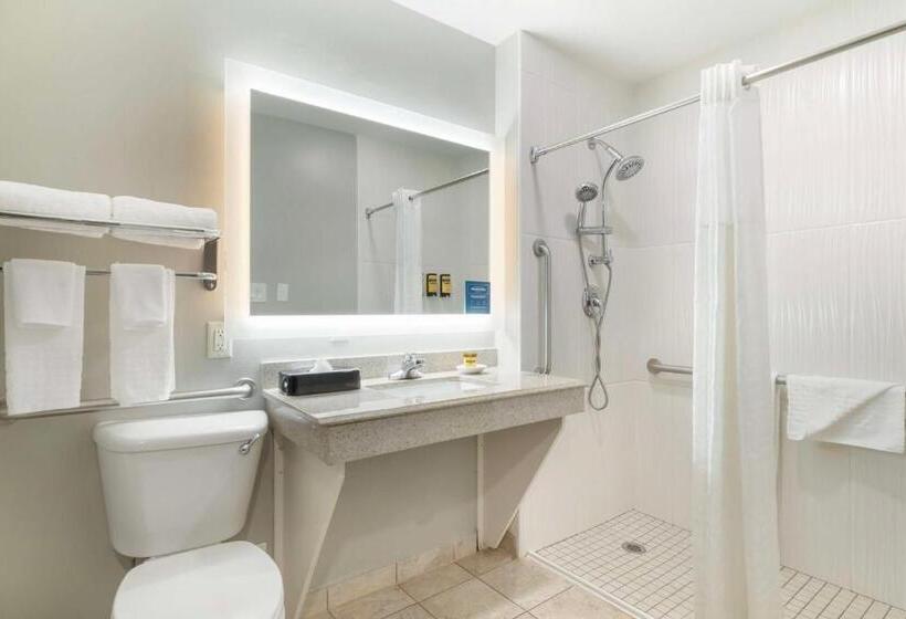 Люкс Адаптированный для Инвалидов, Best Western Plus Edinburg Inn & Suites