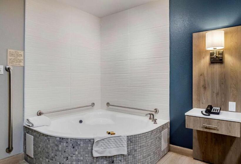 اتاق استاندارد با تخت بزرگ برای معلولان, Best Western Plus Edinburg Inn & Suites