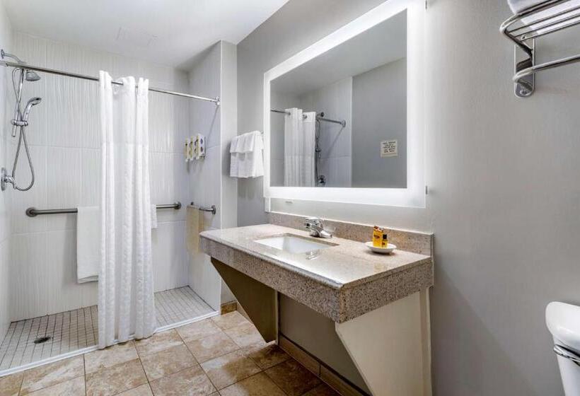 اتاق استاندارد برای معلولان, Best Western Plus Edinburg Inn & Suites