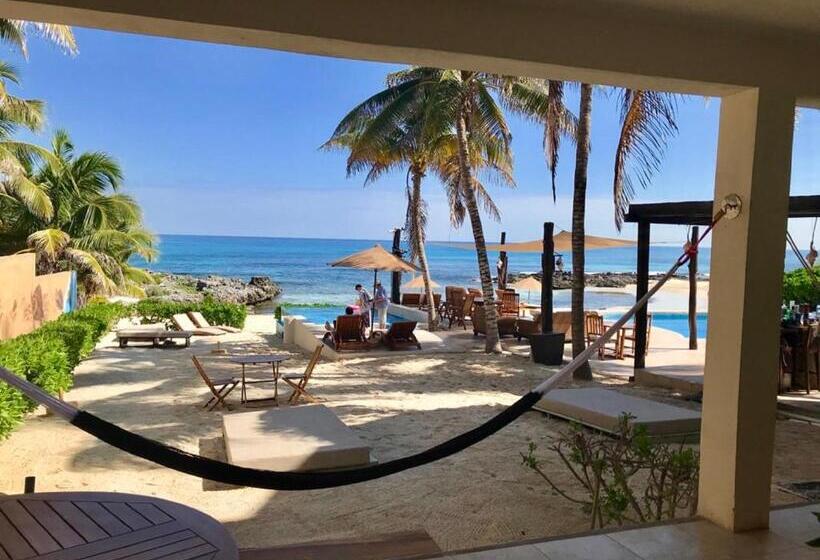 آپارتمان 1 خوابه, Playa La Media Luna