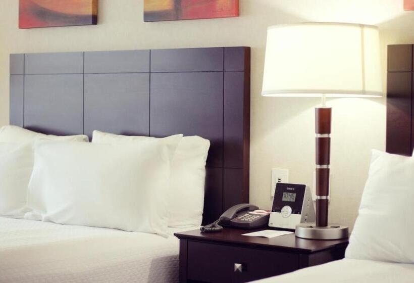 スタンダードルーム, Crowne Plaza Leon, An Ihg
