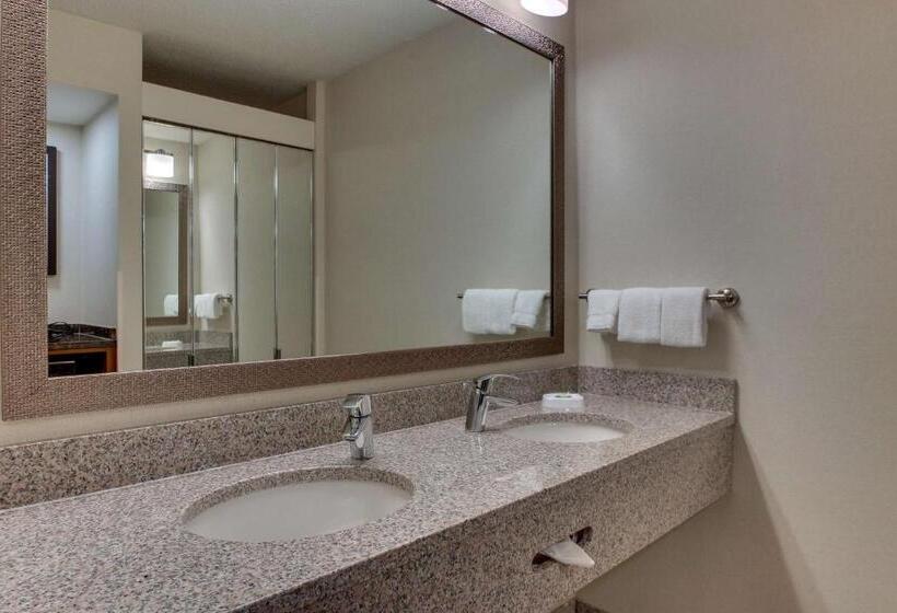 带大床的豪华间, Pear Tree Inn St Louis Airport