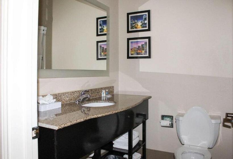 스탠다드 룸, Comfort Inn & Suites Fultondale Gardendale I65