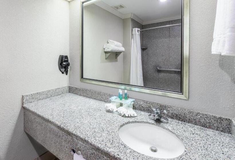 Стандартный Номер Кровать Кинг, Holiday Inn Express Hotel And Suites Lake Charles, An Ihg