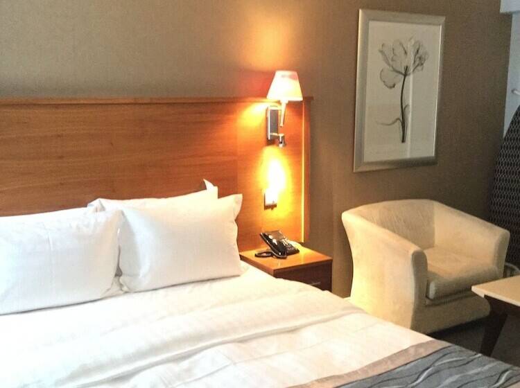 Полулюкс, The New London Carlton Hotel & Service Apartments