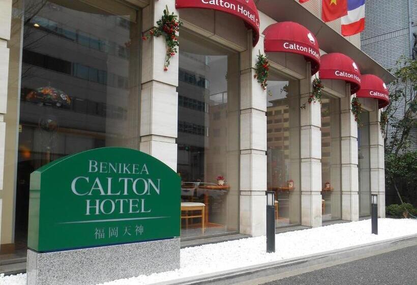Номер Superior, Benikea Calton Hotel Fukuoka Tenjin