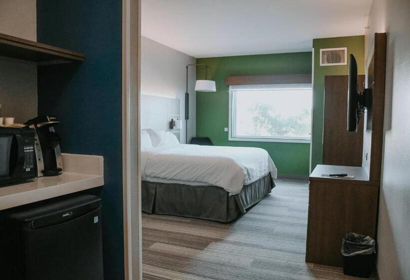 이그제큐티브 스위트 킹침대, Holiday Inn Express Hotel & Suites Lincoln South, An Ihg