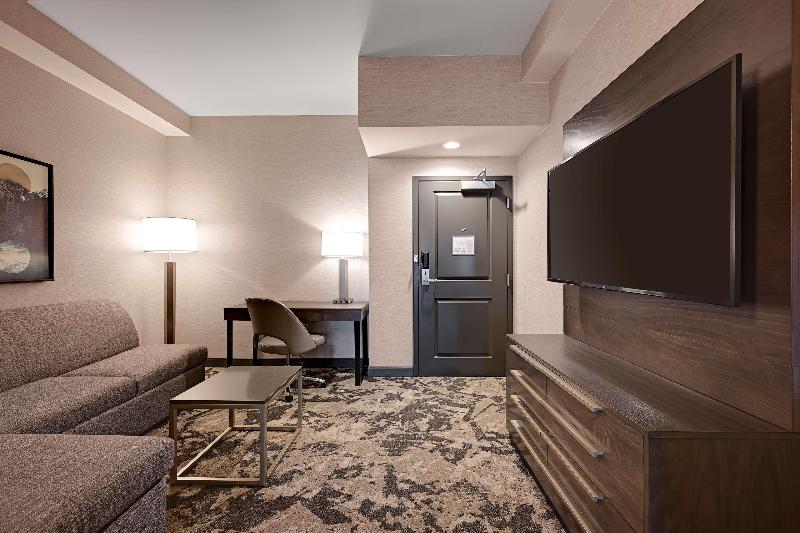 اتاق استاندارد با تخت بزرگ, Doubletree By Hilton Denver International Airport