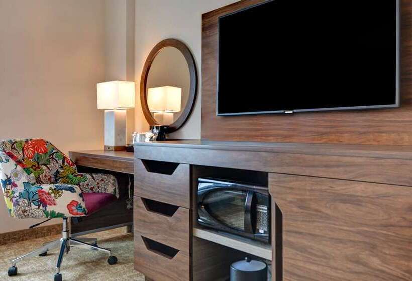 اتاق استاندارد با تخت بزرگ, Doubletree By Hilton Denver International Airport