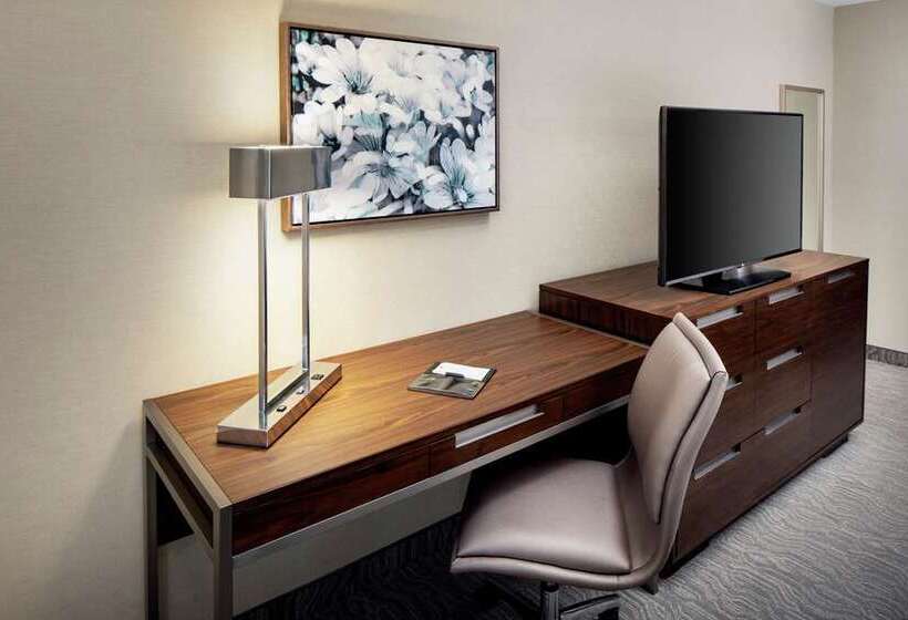 اتاق استاندارد با تخت بزرگ, Doubletree By Hilton Denver International Airport