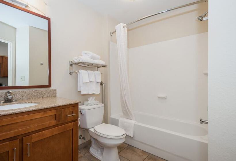 Студия Стандарт, Candlewood Suites Mobile Downtown, An Ihg